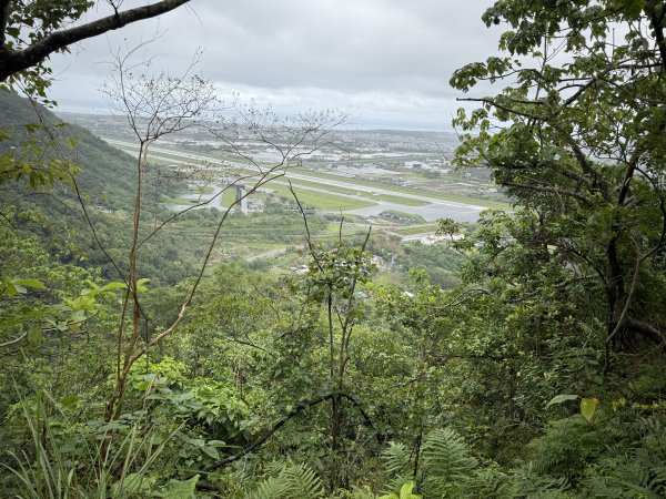 佐倉步道2704774
