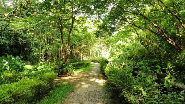 十八尖山,高峰植物園1761685
