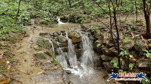 【桃園】石門山步道升級版~