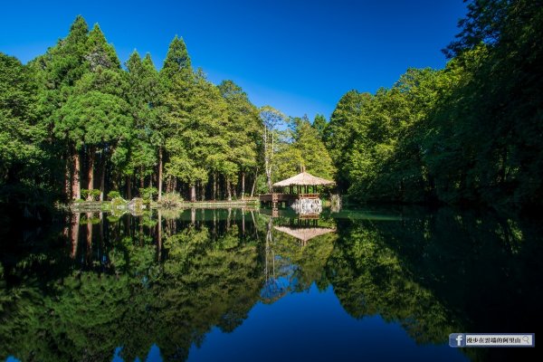 【漫步在雲端的阿里山】姊妹潭的晨光倒影