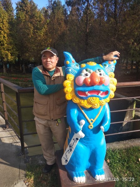 六甲菁埔埤落羽松818961