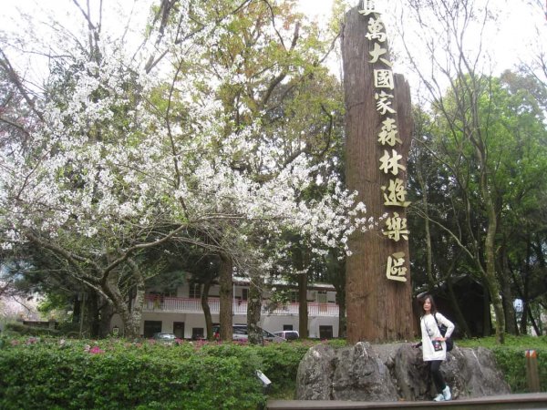 〔太平山〕見晴懷古步道 翠峰湖環山步道 山毛櫸步道。〔南投〕奧萬大國家森林遊樂區 鹿谷鳳凰谷鳥園