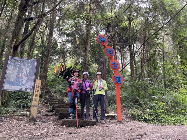 對高岳步道、神阿縱走，由嘉義縣阿里山鄉走到南投縣信義鄉神木村！