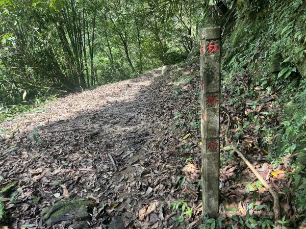 [淡蘭古道] 2024_0622 中路第四段-北勢溪古道2533851