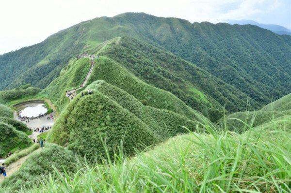 【宜蘭】隱藏版的唯美 抹茶山看蘭陽平原