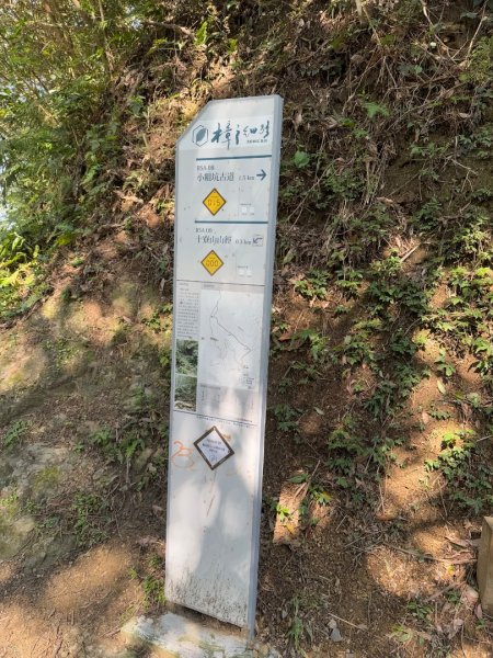 石門山(小百岳#24)-小粗坑山十寮山-大竹坑山-太平山2710513