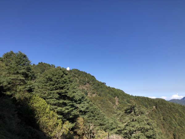2022/04/24再訪塔塔加五連峰1686718