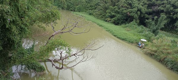 青草湖環湖步道-2023/05/132150581