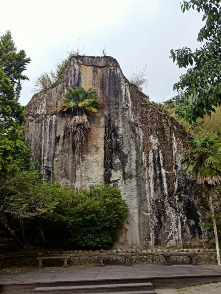 【嘉義】頂湖步道至奮起湖大凍山左上右下