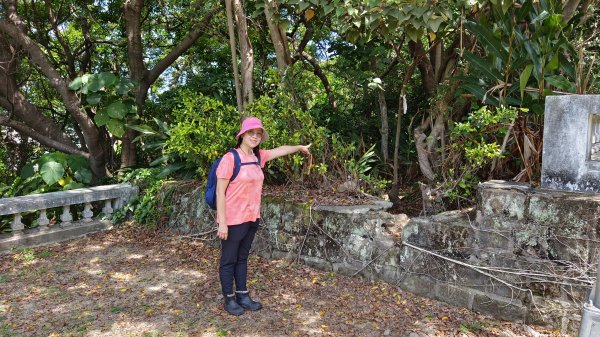 (姨婆趴趴走)第四十三集:攀登連走奇岩山、軍艦岩、丹鳳山2499459