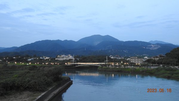 雲山水花鳥蝶-天龍國阿伯的日常5/16&20 #白眉鴨 #尖尾濱鷸2152101