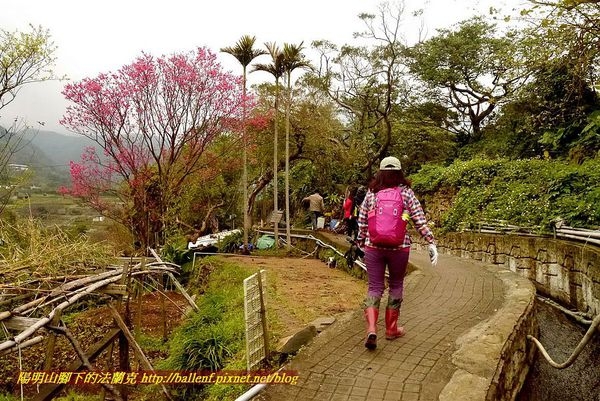 【台北市】東昇步道-鼎筆橋步道-十八挖水圳步道-風尾步道