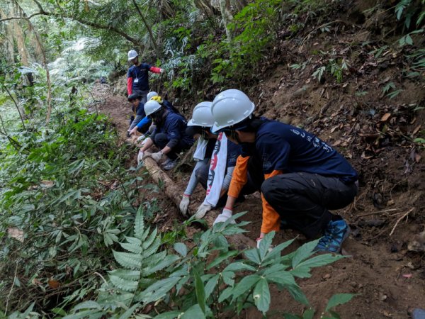 【山林】循著土石的紋理整復古道 「樟之細路」逐段牽起山林城鎮