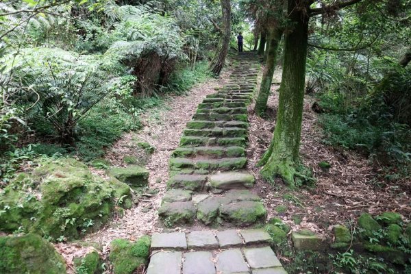 小百岳NO.1大屯山 。〔陽明山〕夢幻湖步道竹嵩山 擎天崗環形步道2151852