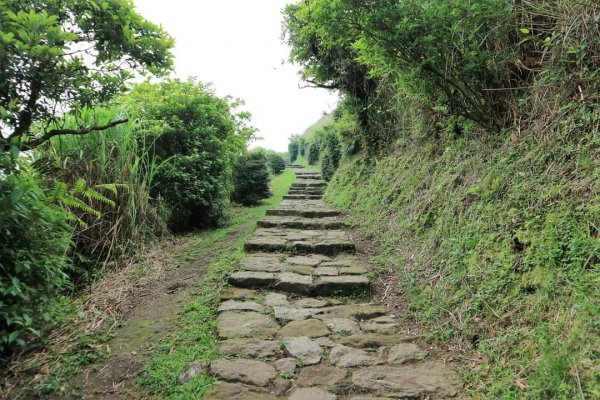 小百岳NO.1大屯山 。〔陽明山〕夢幻湖步道竹嵩山 擎天崗環形步道2151859