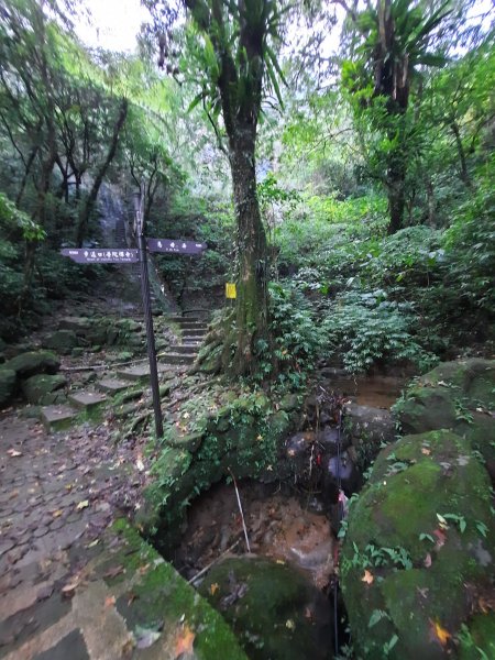 2022/11/12 平溪孝子山，慈母峰，普陀山2001034