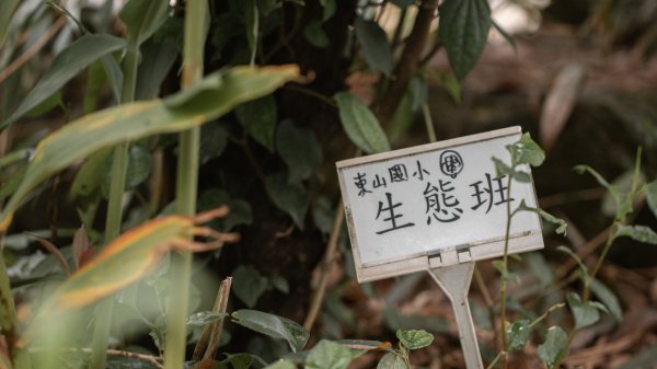 傳說中的「魔神仔洞」| 菁桐古道（汐止段＆平溪段）2721217