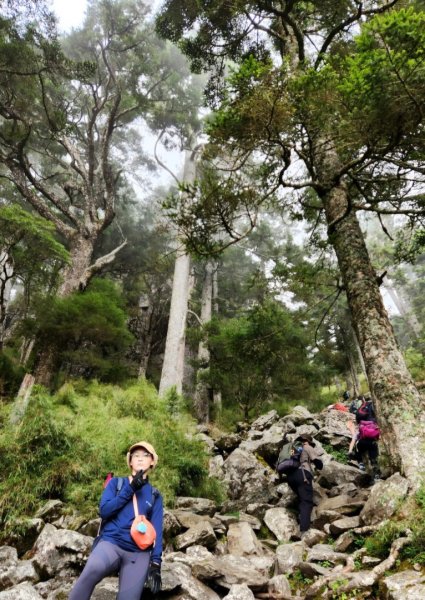 【百岳】石瀑大魔王的勇敢挑戰，玉山前峰2741438