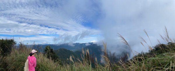 20231230 宜蘭 聖母登山步道（小百岳-三角崙山）2423479