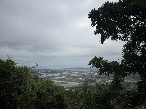 佐倉步道2704767