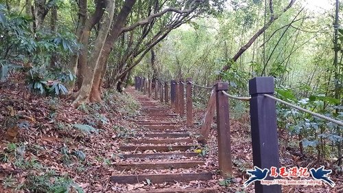 【新北市】跤頭趺崙步道-楓樹湖古道-水管路-十八彎古道縱走