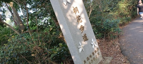 20221001_高峰植物園+十八尖山1864280