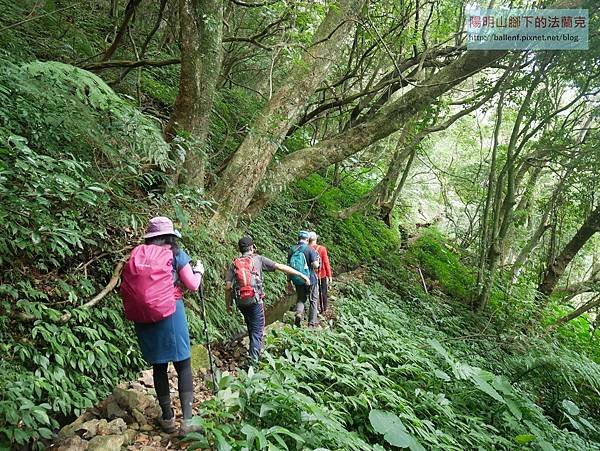 【台北市】紗帽山-橫嶺古道-青春嶺-竹子湖-猴崁古道-鼎筆橋步道