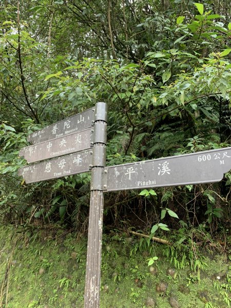 孝子山、慈母峰及普陀山封面