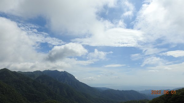 雲山水花鳥蝶 - 天龍國阿伯的日常6/1 再見 #東方白鸛 #A201723194