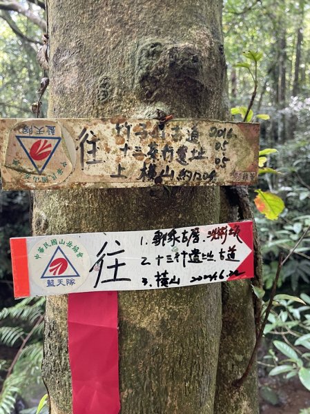 虎豹潭2535921