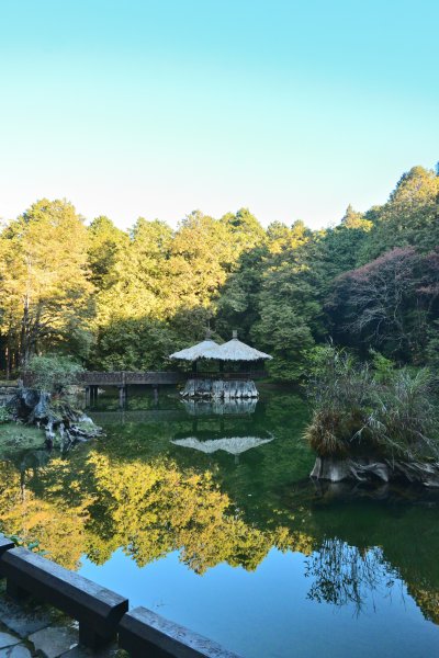 大塔山步道(早晨0630起登)1927491