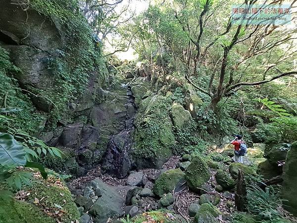 【新北市】二子山-面天古道-楓樹湖古道-巴拉卡水管路-山仔頂步道-天元宮