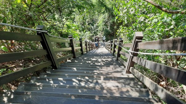 《台中》爬山買菜｜大坑步道10上9下202211131908911