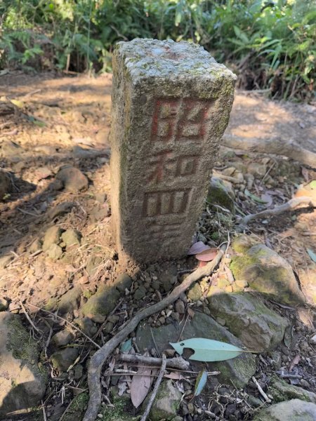 石門山(小百岳#24)-小粗坑山十寮山-大竹坑山-太平山2710514