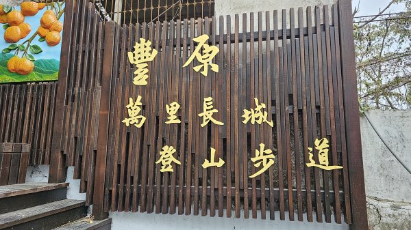 豐原萬里長城步道落成體驗 加大坑6 9號大胡山 聚興山連走封面