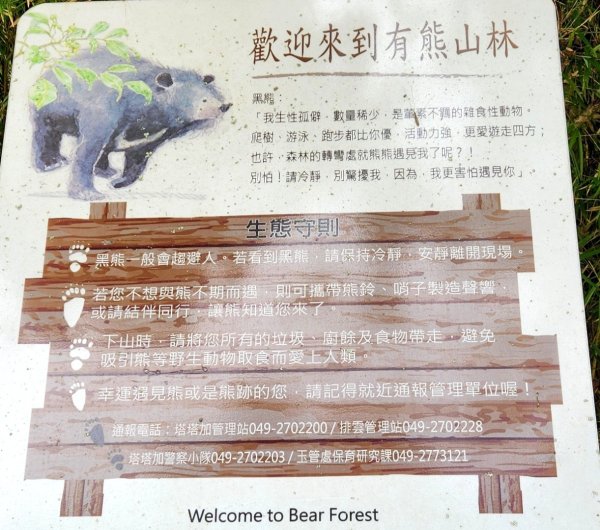 【百岳】石瀑大魔王的勇敢挑戰，玉山前峰2741428