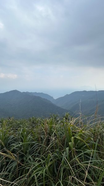 大溪川睏牛山2700879