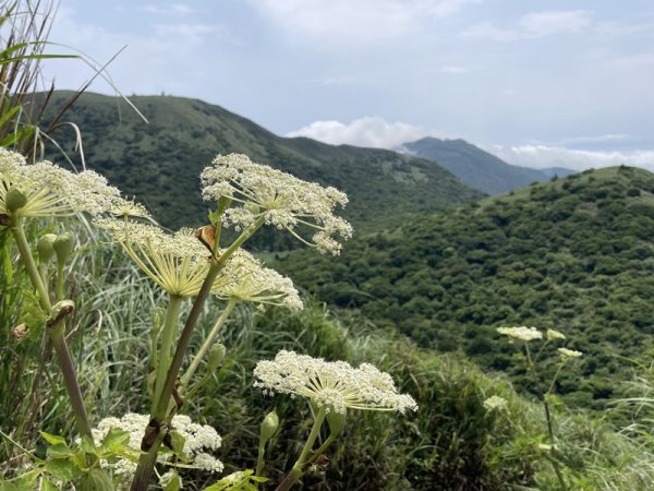 大屯西連峰