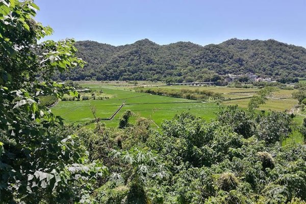 【新竹】行腳。樟之細路：渡南古道
