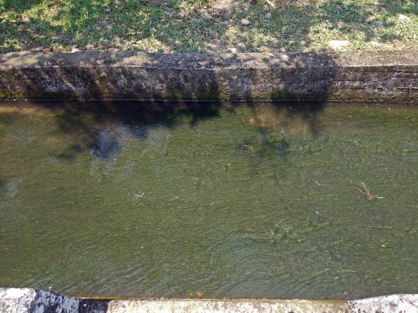 三坑自然生態公園步道654525