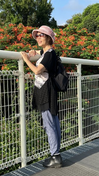 彰化市坑仔內山-一線天_202406072526742