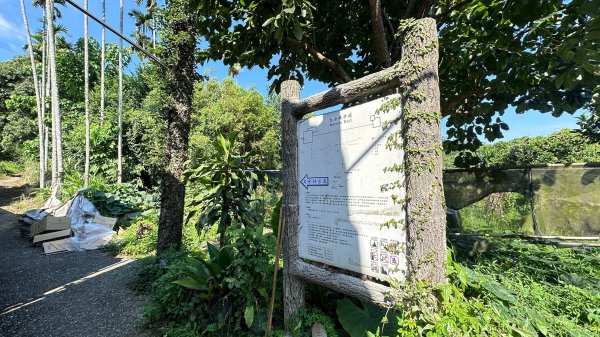 大分林山步道輕鬆走