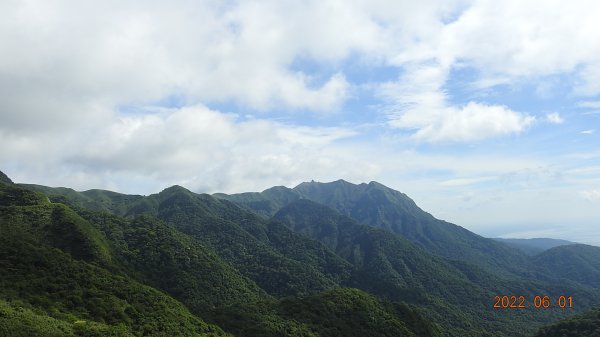 雲山水花鳥蝶 - 天龍國阿伯的日常6/1 再見 #東方白鸛 #A201723190