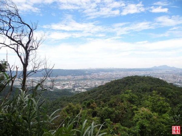 【新北市】土城桐花公園、天上山、甘露寺步道