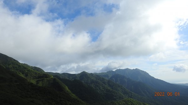 雲山水花鳥蝶 - 天龍國阿伯的日常6/1 再見 #東方白鸛 #A201723177
