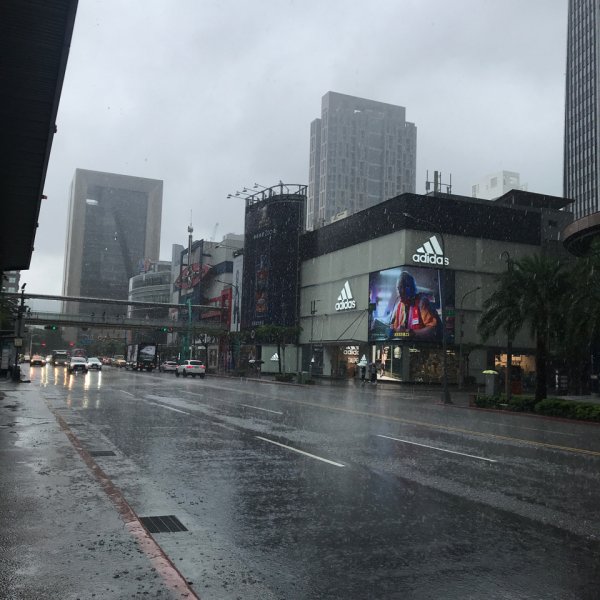 《台北大穀東+尋寶趣》象山、信義區、松菸2237757