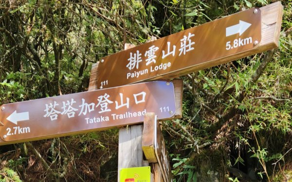【百岳】石瀑大魔王的勇敢挑戰，玉山前峰2741431