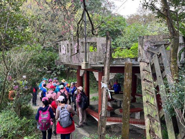 【小百岳集起來】#007 基隆紅淡山 H210m, 三等三角點 #10241633524