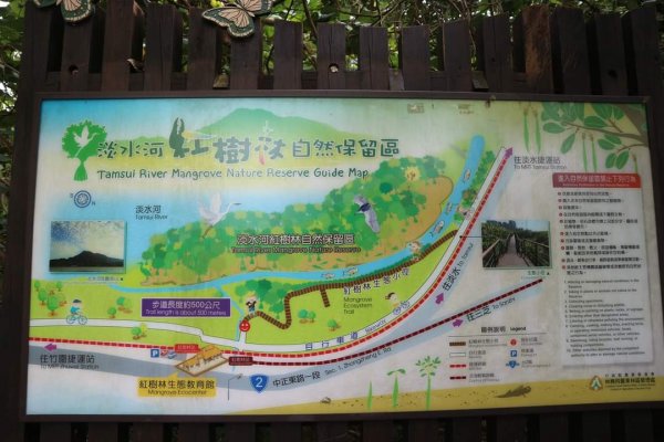 淡水河紅樹林自然保留區，社子島自行車道 延平河濱公園 中正紀念堂 台大椰林步道 板橋新月橋 大安森林2147026
