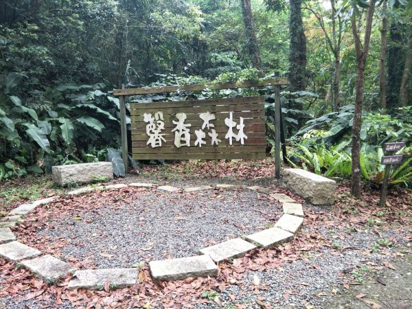 哭泣湖1346106